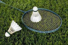 Badminton Systems (Collection)